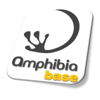 Amphibia BASE Logo