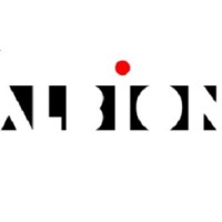Albion Valves (UK) Limited Logo