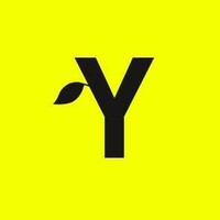 Yellow Tree GmbH & Co. KG Logo