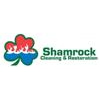 Shamrock Cleaning and Restoration Logo