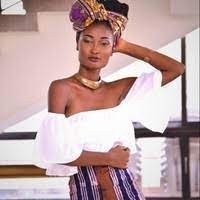 Philus Modelling Agency Logo