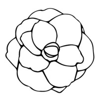 MOVEMAMI Logo