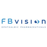 FB VISION Logo