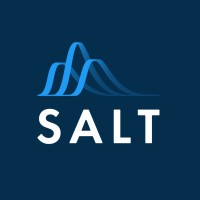 Salt Technologies Ltd Logo