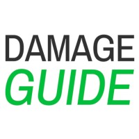 Damage Guide Logo