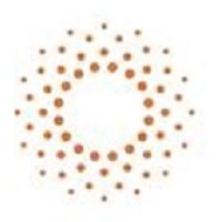 Design Specific Ltd Logo