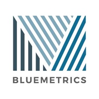 BlueMetrics Logo
