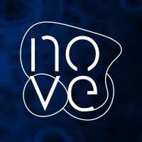 Nove - Inteligência em Negócios Logo