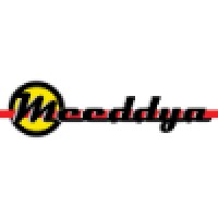 The Meeddya Group Logo