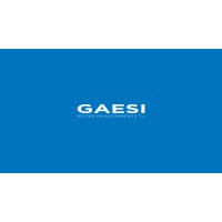 GAESI Logo