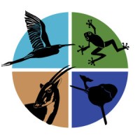 Wendy Barnes Design Logo