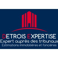 DETROIS EXPERTISE Logo