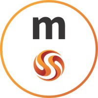 Media Systems Advertising Agency Logo