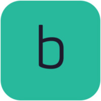 borderless™ Logo