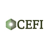 Commercial Equipment Finance, Inc. Logo