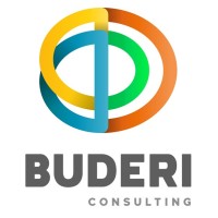 BUDERI CONSULTING Logo