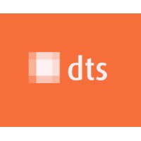 DTS Consultoria Logo