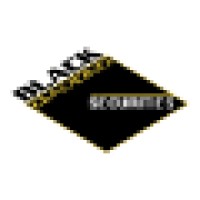 Black Diamond Securities Logo