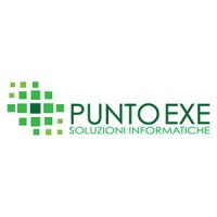 Puntoexe Soluzioni Informatiche Srl Logo
