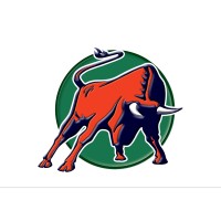 bulltech minerals gmbh Logo