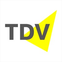 TDV Capital Partners Logo