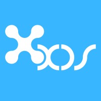 XDS - Extended Development Solutions Logo