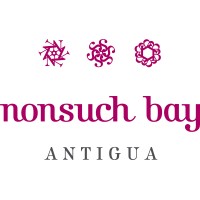 Nonsuch Management Limited Logo