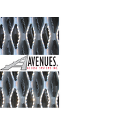 Avenues Access Systems Inc. Logo