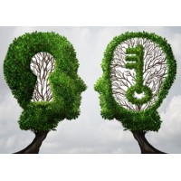 Leading to Unlock, LLC Logo