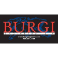 Burgi Engineers LLC Logo
