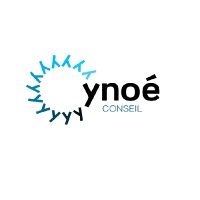 Ynoe Conseil Logo