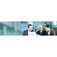 Datanomix Group Logo