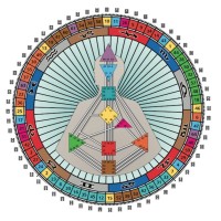 Human Design Films Limited Logo