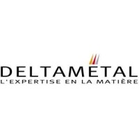 DELTA METAL Logo