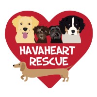 HavaHeart Rescue Logo