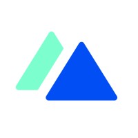 BDM Logo