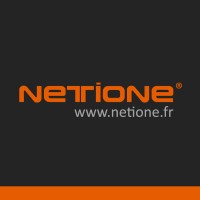 Netione ® Logo