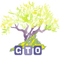 GTO Logo