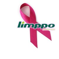 Limppo Multisserviços Logo