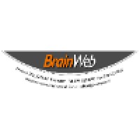 Owner at Brainweb Logo