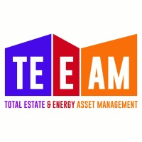 TEEAM Logo