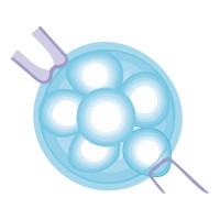 Delaware Institute for Reproductive Medicine, PA Logo