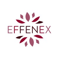 EFFENEX Advisory Group Logo