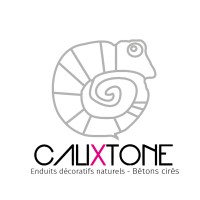 Calixtone Logo