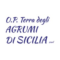 O.P. Terra degli Agrumi di Sicilia scarl Logo