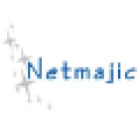 Netmajic Logo