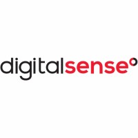 Digital Sense Lithuania Logo