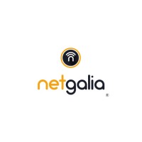 Netgalia S.L Logo