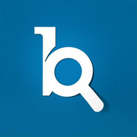 blueReport (cognita AG) Logo