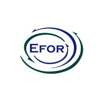 EFOR SOGUK DEPOLAMA SAN. ve TIC. LTD. STI Logo